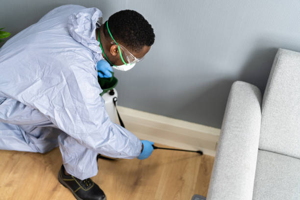 Best Pest Prevention Services  in Danville, AR